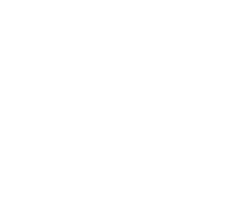 Slide 1 Icon