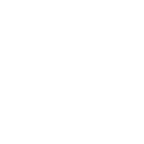 Slide 2 Icon