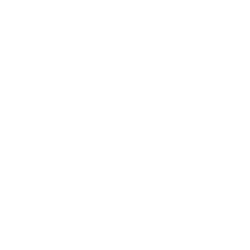 Slide 3 Icon
