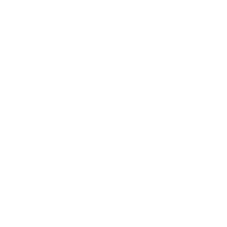 Slide 4 Icon
