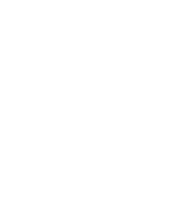 Slide 5 Icon
