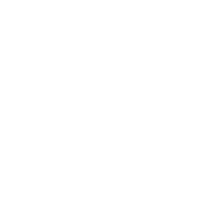 Slide 6 Icon