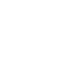 Slide 7 Icon