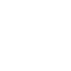 Slide 8 Icon