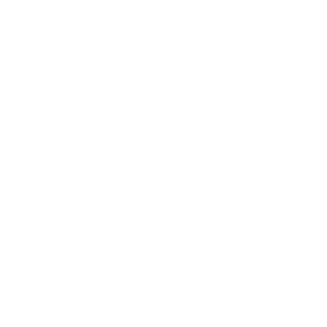 Slide 8 Icon